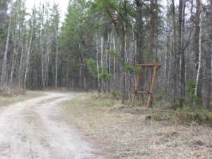 Naturist Legacy History: Gallery 23/02...An early resumption of construction