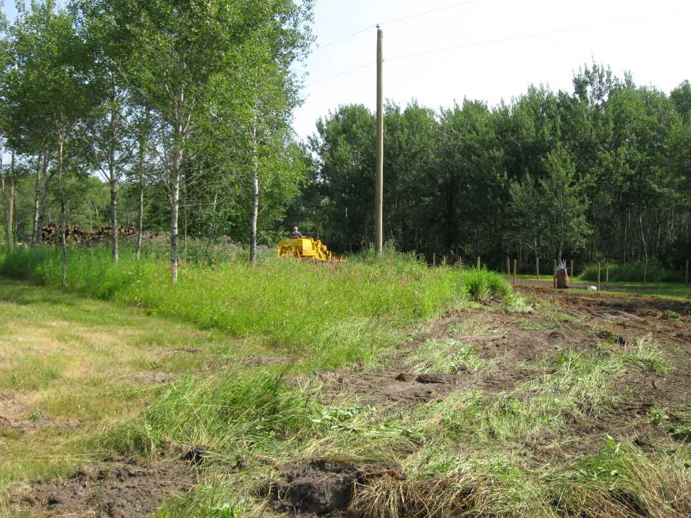 Naturist Legacy History: Gallery 32/02...Front yard receives a makeover
