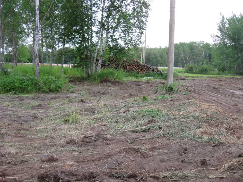 Naturist Legacy History: Gallery 32/06...Front yard receives a makeover