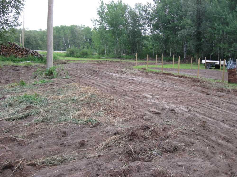 Naturist Legacy History: Gallery 32/07...Front yard receives a makeover