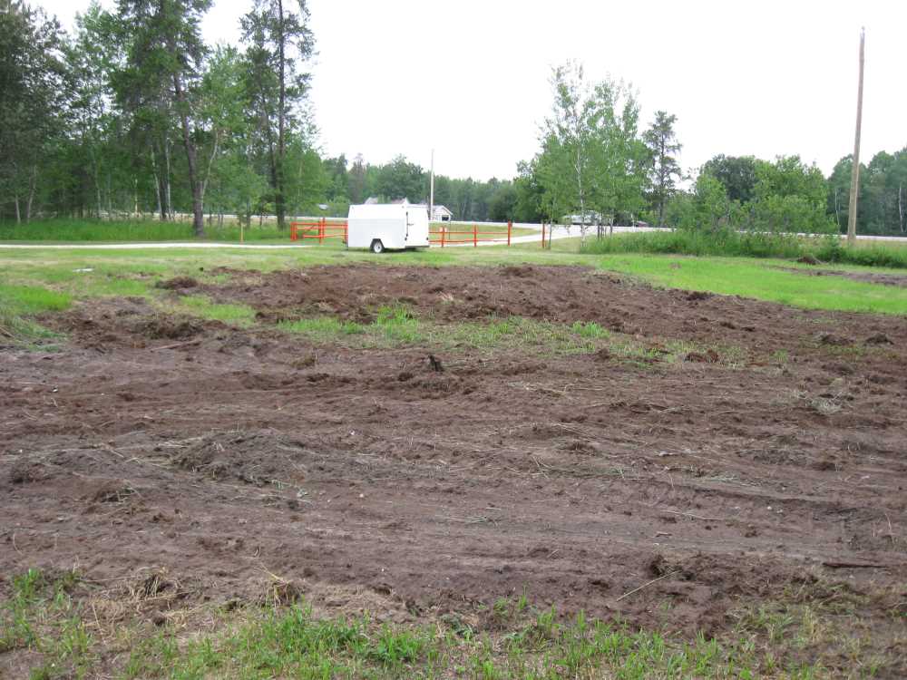 Naturist Legacy History: Gallery 32/09...Front yard receives a makeover