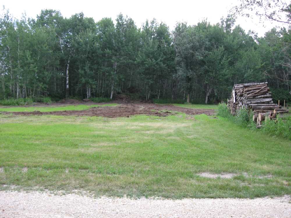 Naturist Legacy History: Gallery 32/10...Front yard receives a makeover