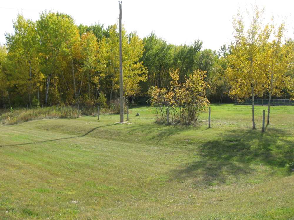 Naturist Legacy History: Gallery 32/11...Front yard receives a makeover