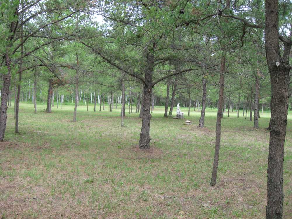 Naturist Legacy History: Gallery 33/11...The meadows in the middle of summer