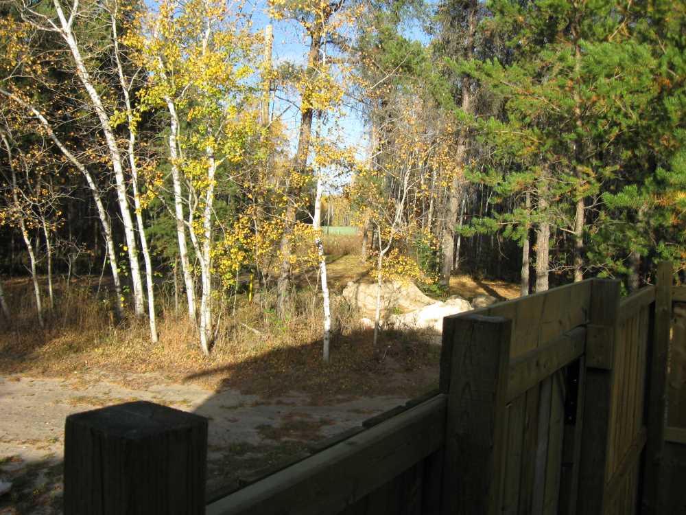 Naturist Legacy History: Gallery 34/20...Smaller projects completed