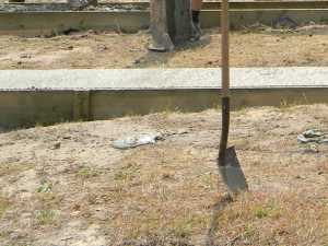 Naturist Legacy History: Gallery 40/19...Strip footings are formed and poured
