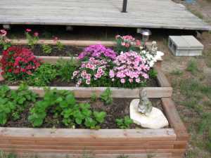 Naturist Legacy History: Gallery 50/11...Our cottage at Naturist Legacy Park