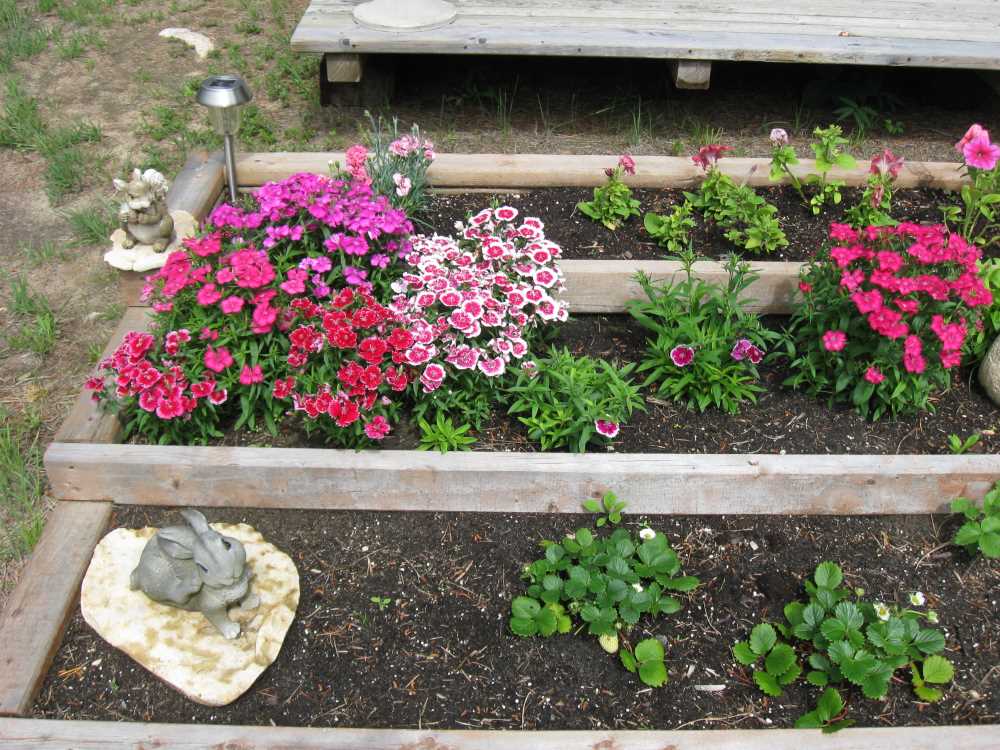Naturist Legacy History: Gallery 50/13...Our cottage at Naturist Legacy Park
