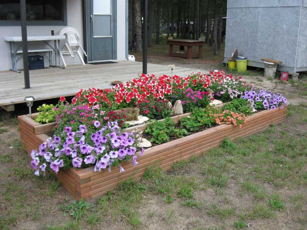 Naturist Legacy History: Gallery 50/15...Our cottage at Naturist Legacy Park